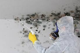  Manawa, WI Mold Removal Pros